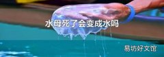 水母死了会变成水吗