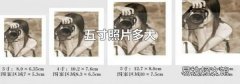 五寸照片多大