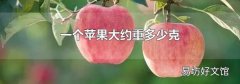 一个苹果大约重多少克