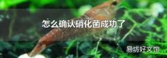怎么确认硝化菌成功了