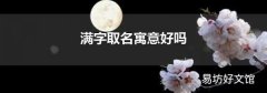 满字取名寓意好吗