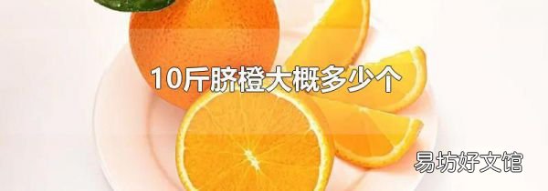 10斤脐橙大概多少个