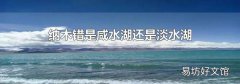 纳木错是咸水湖还是淡水湖