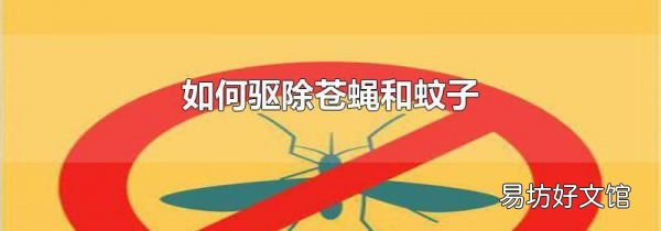 如何驱除苍蝇和蚊子