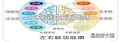左右脑哪个发达更聪明