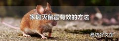 家庭灭鼠最有效的方法