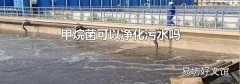 甲烷菌可以净化污水吗