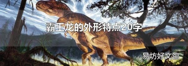 霸王龙的外形特点20字