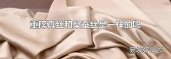 重磅真丝和桑蚕丝是一样的吗