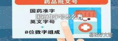 国药准字号怎么看