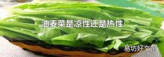 油麦菜是凉性还是热性