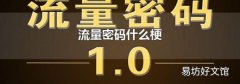 流量密码什么梗