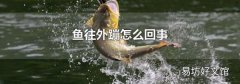 鱼往外蹦怎么回事