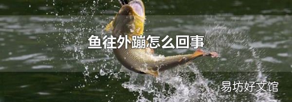鱼往外蹦怎么回事