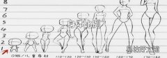 身体比例
