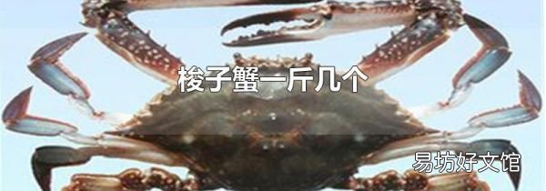梭子蟹一斤几个