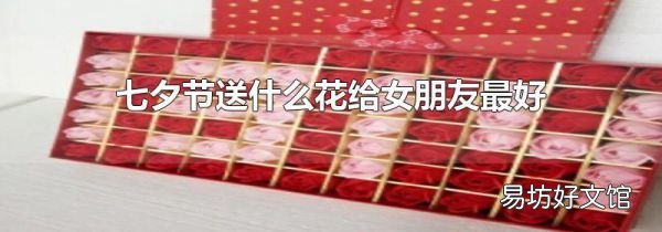 七夕节送什么花给女朋友最好