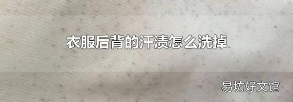 衣服后背的汗渍怎么洗掉