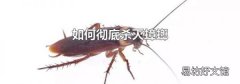 如何彻底杀灭蟑螂