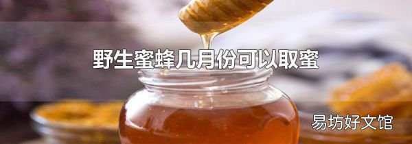 野生蜜蜂几月份可以取蜜