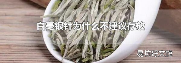 白毫银针为什么不建议存放