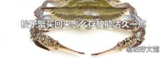 梭子蟹买回来怎么存放能活久一点