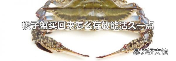 梭子蟹买回来怎么存放能活久一点