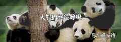 大熊猫濒危等级