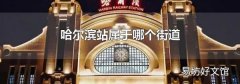 哈尔滨站属于哪个街道