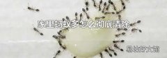 家里蚂蚁多怎么彻底清除