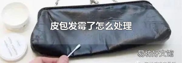 皮包发霉了怎么处理