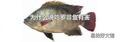 为什么说吃罗非鱼有害