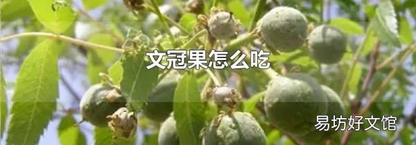 文冠果怎么吃