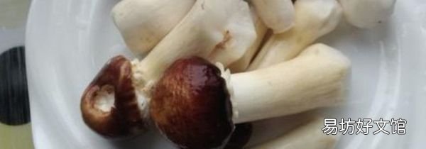 松茸能冷冻吗?