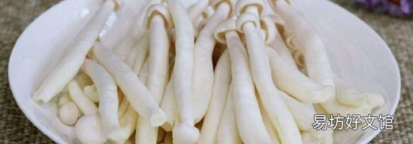 海鲜菇不能跟什么一起吃