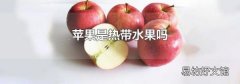 苹果是热带水果吗