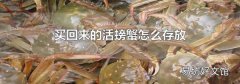 买回来的活螃蟹怎么存放