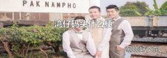 湾仔码头什么梗