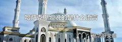 哈萨克斯坦说的是什么语言