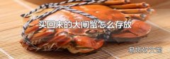 买回来的大闸蟹怎么存放