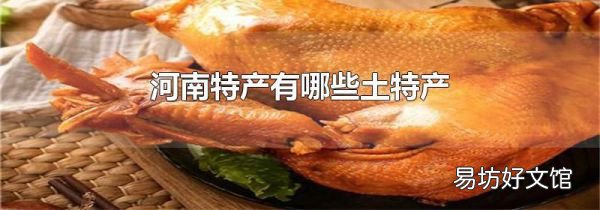 河南特产有哪些土特产