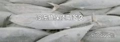 冷冻鱼保质期多久
