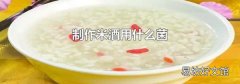 制作米酒用什么菌