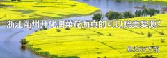 浙江衢州开化油菜花海真的可以媲美婺源?