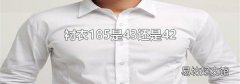 衬衣185是43还是42