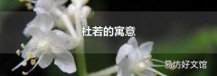 杜若的寓意