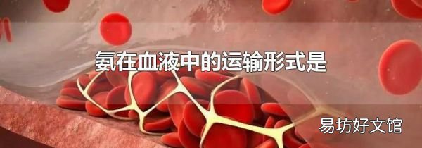 氨在血液中的运输形式是