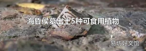 海昏侯墓出土5种可食用植物