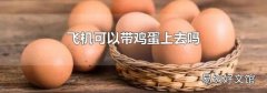 飞机可以带鸡蛋上去吗