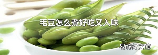 毛豆怎么煮好吃又入味